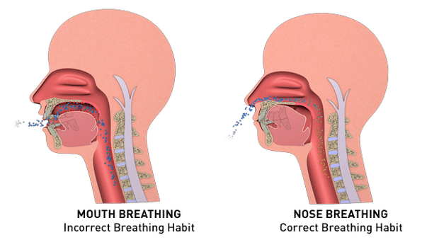 The Importance of Breathing Through Your Nose (AKA Nasorespiratory